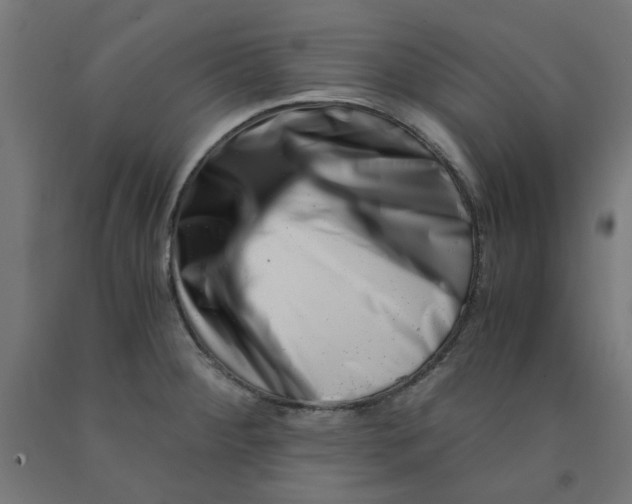 X0000090881284200708241933