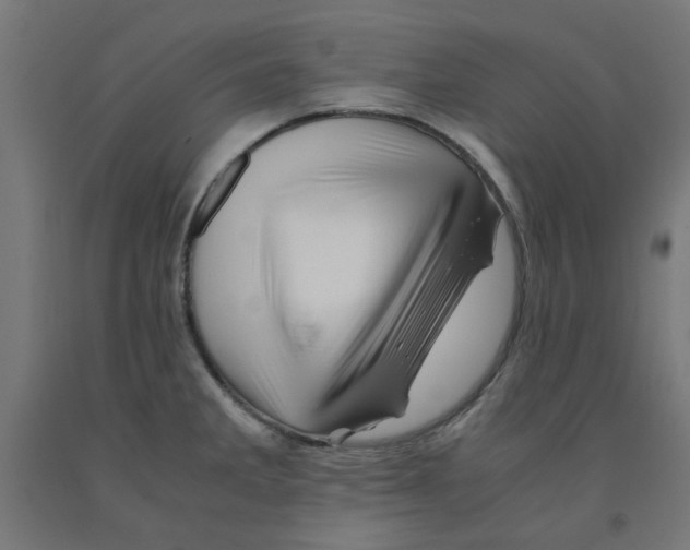 X0000090881285200708241933