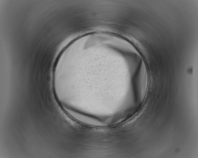 X0000090881286200708241933