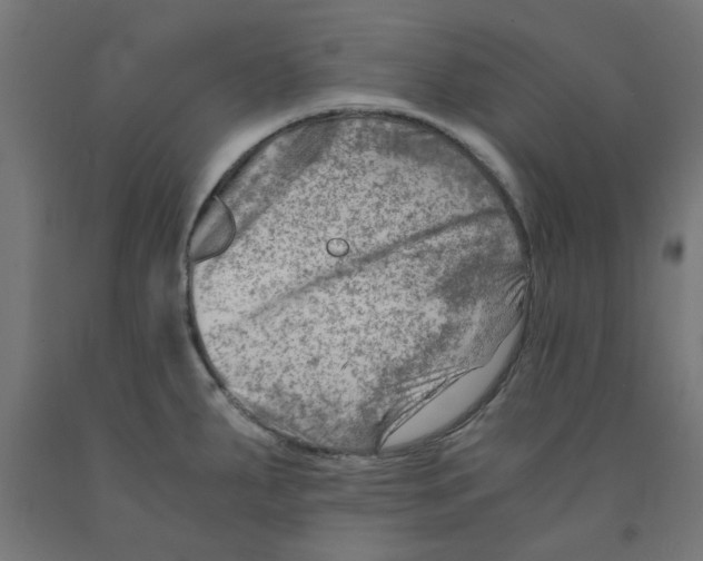 X0000090881287200708241933