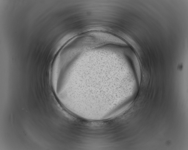 X0000090881290200708241933