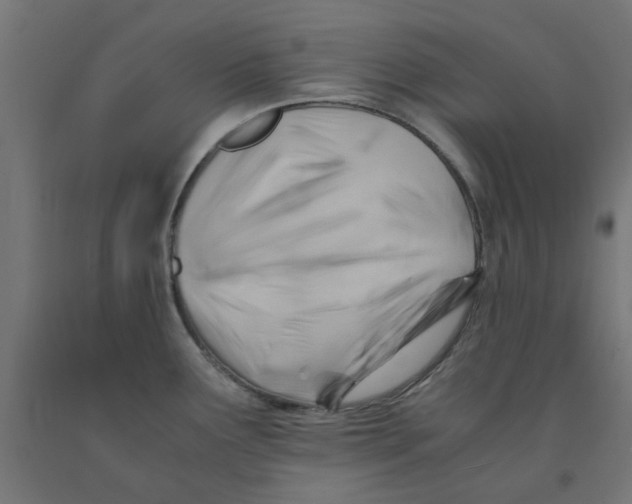 X0000090881291200708241933