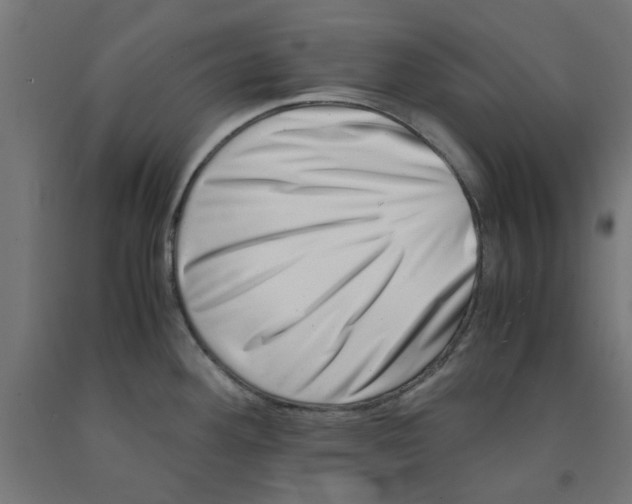 X0000090881292200708241933