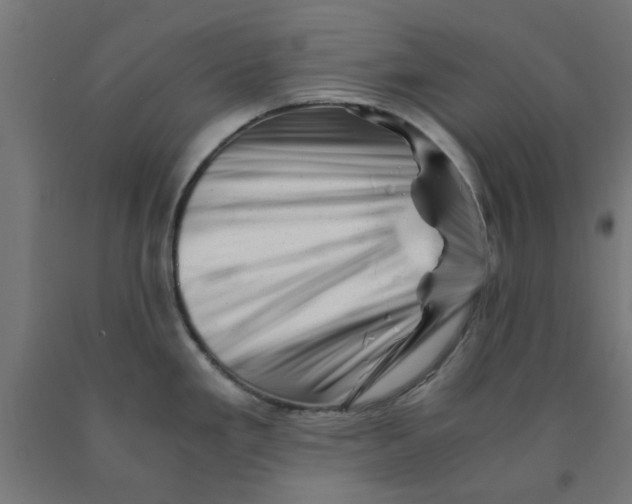 X0000090881293200708241933