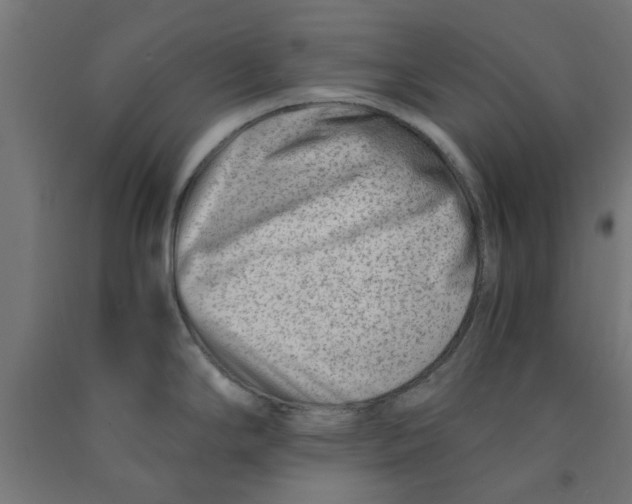 X0000090881294200708241933