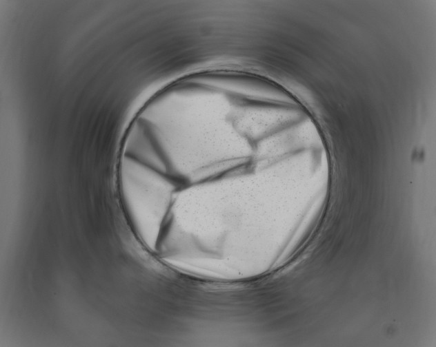 X0000090881296200708241933