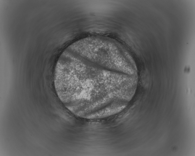 X0000090881297200708241932