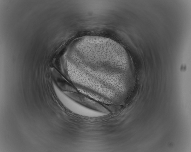 X0000090881298200708241932