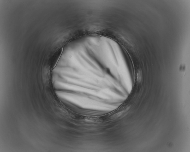 X0000090881299200708241932