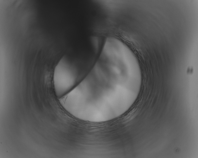 X0000090881300200708241932