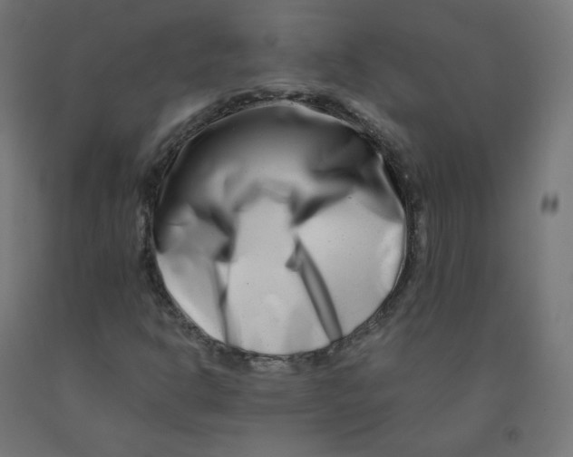 X0000090881302200708241932