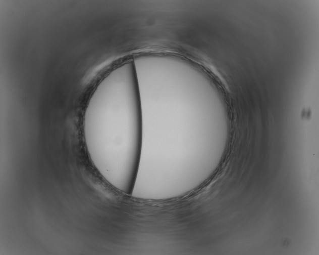 X0000090881304200708241932