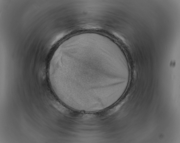 X0000090881306200708241932