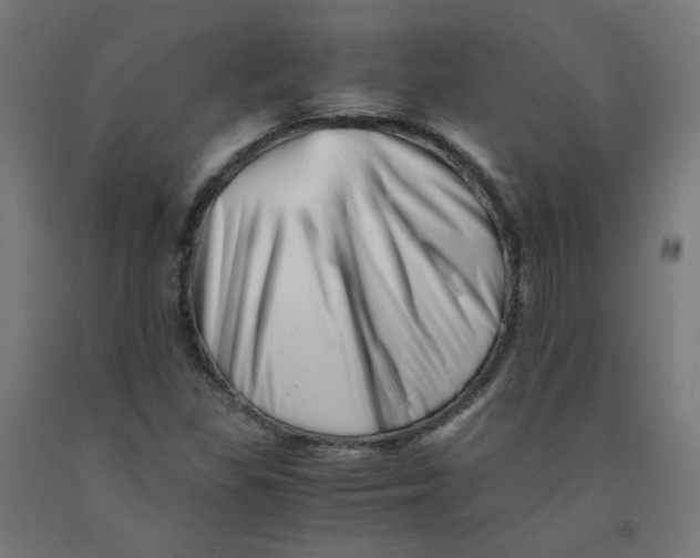 X0000090881309200708241932