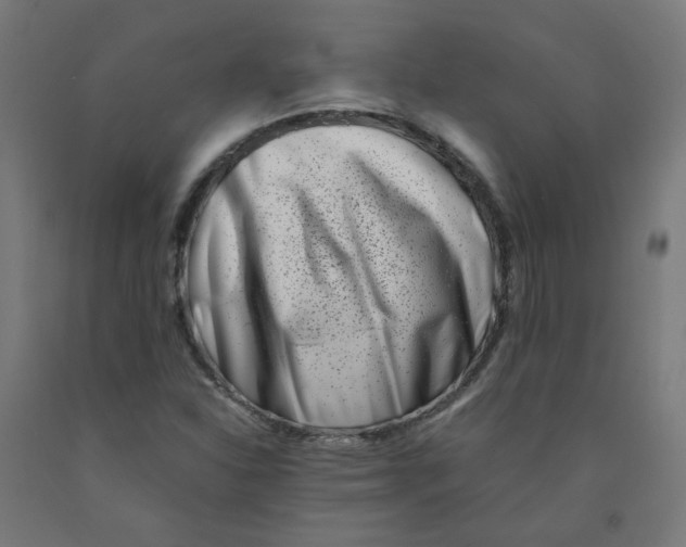 X0000090881310200708241932