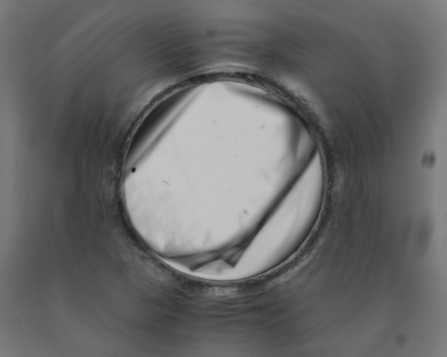 X0000090881313200708241932