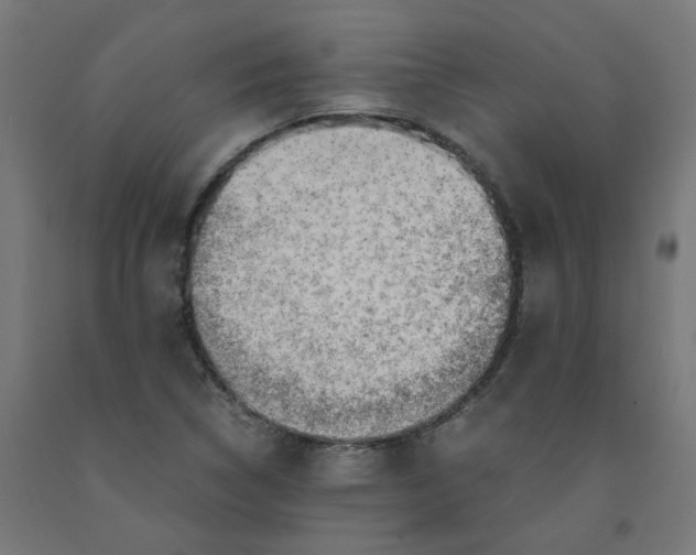 X0000090881314200708241932