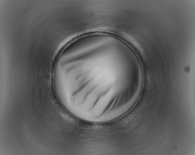 X0000090881316200708241932