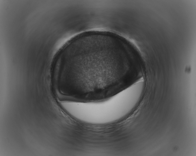 X0000090881319200708241932