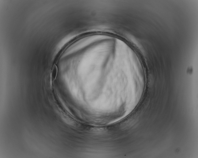 X0000090881320200708241932