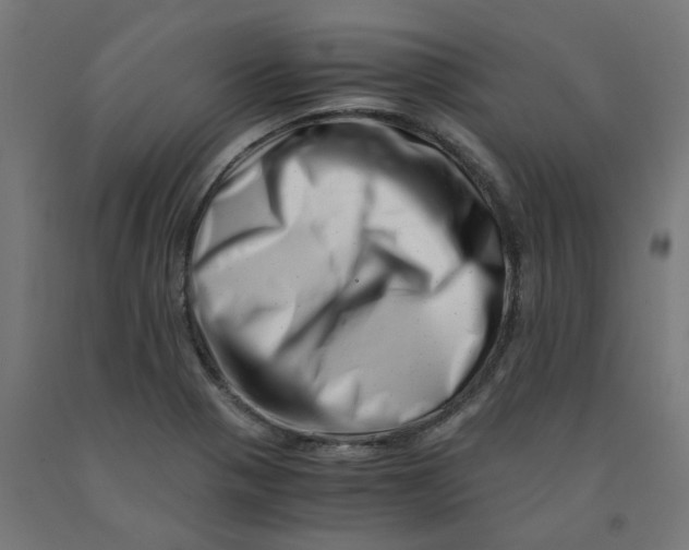 X0000090881321200708241932