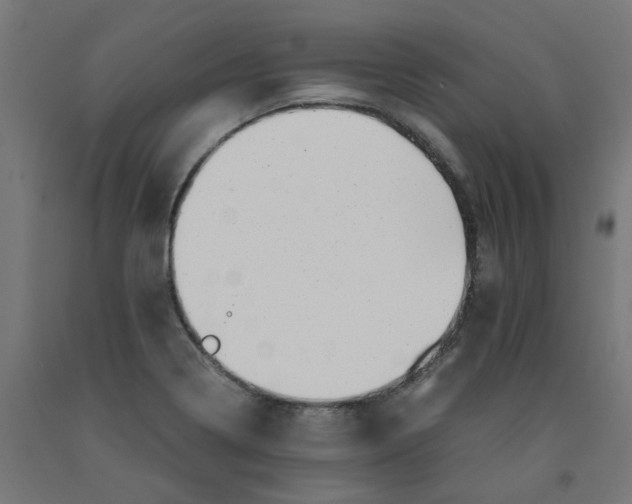 X0000090881322200708241932