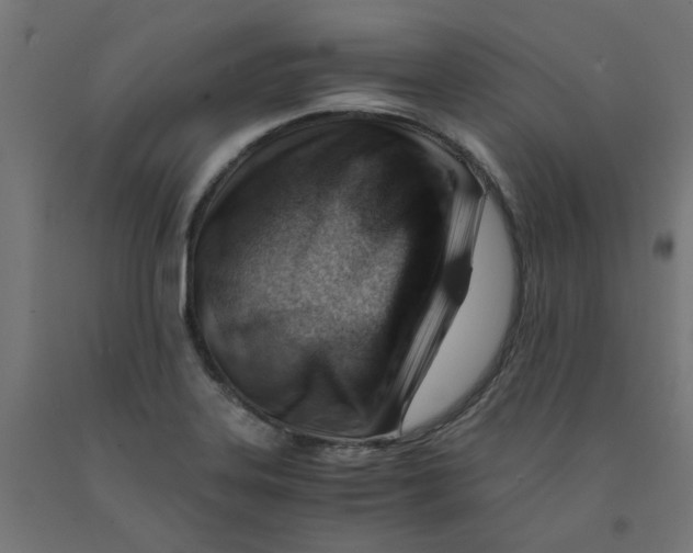 X0000090881323200708241932