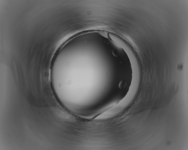 X0000090881324200708241932