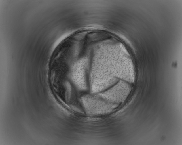 X0000090881325200708241932