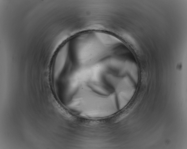 X0000090881326200708241932