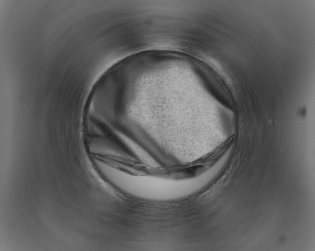 X0000090881331200708241932