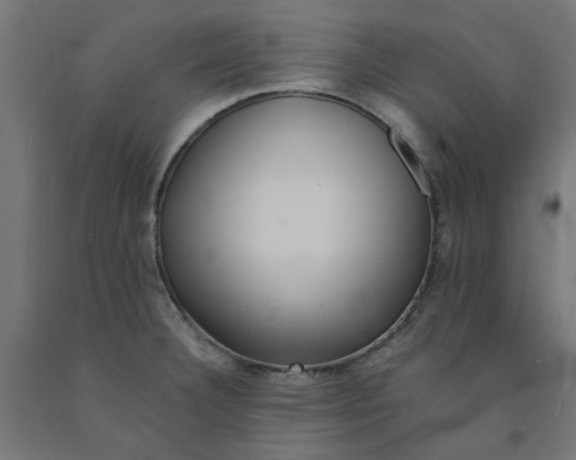 X0000090881332200708241933