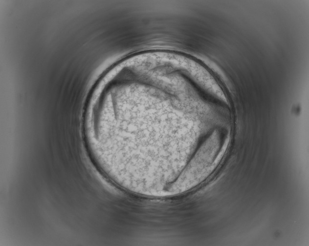 X0000090881333200708241933