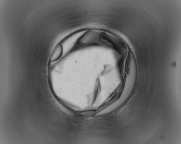 X0000090881335200708241933