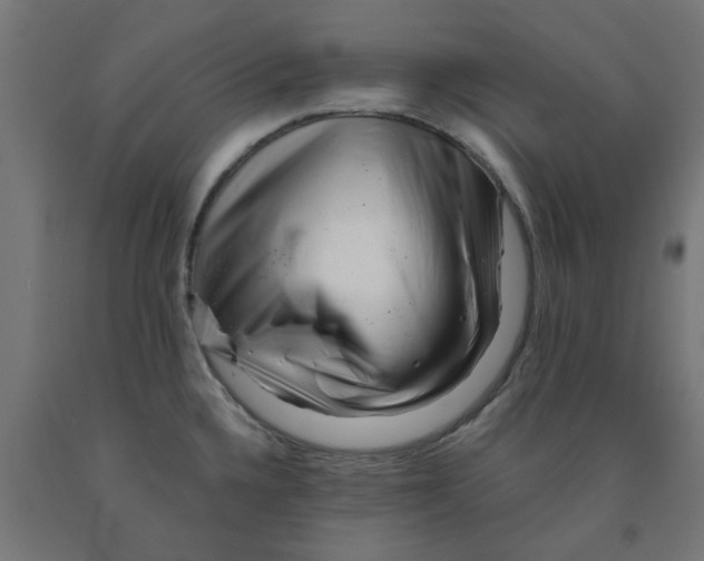 X0000090881336200708241933