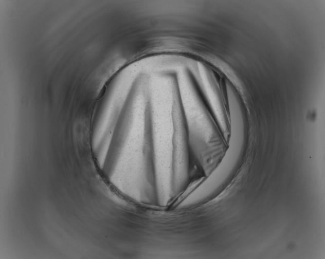 X0000090881337200708241933