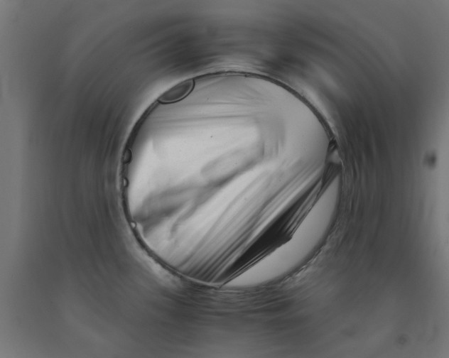 X0000090881339200708241933