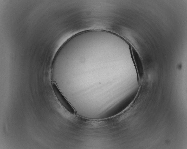 X0000090881340200708241933