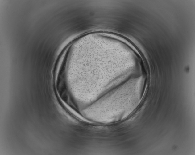 X0000090881341200708241933