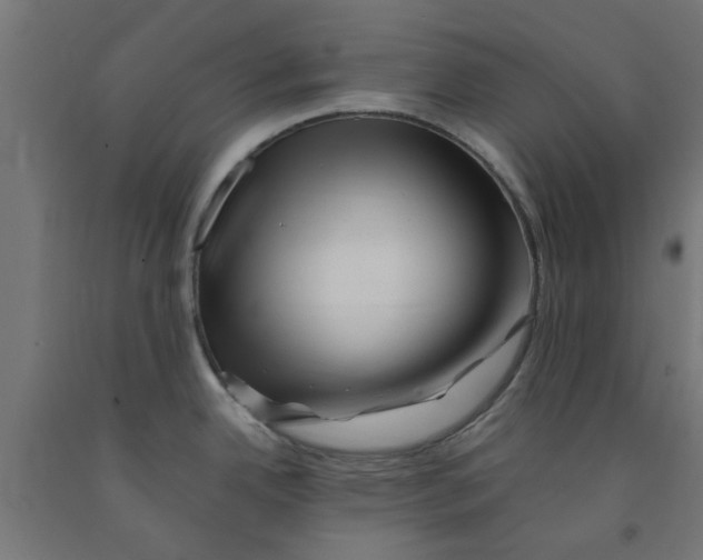 X0000090881342200708241933