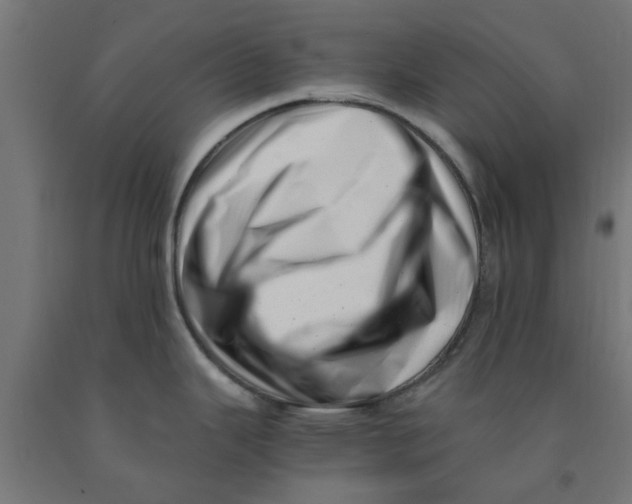 X0000090881343200708241933