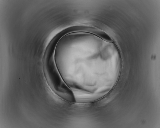 X0000090881344200708241933