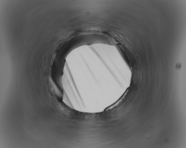 X0000090881345200708241932