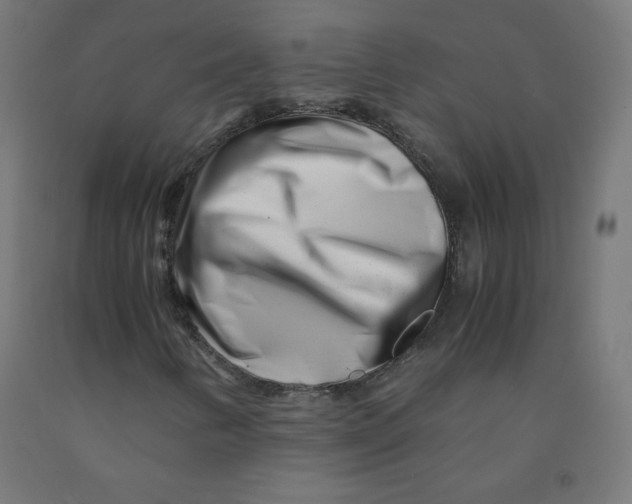 X0000090881346200708241932