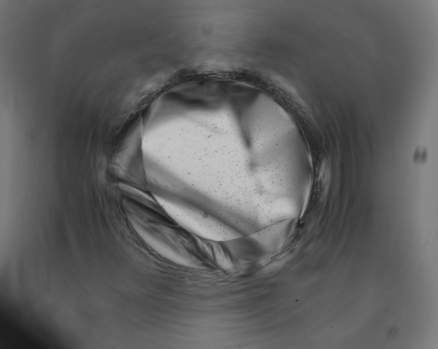 X0000090881348200708241932