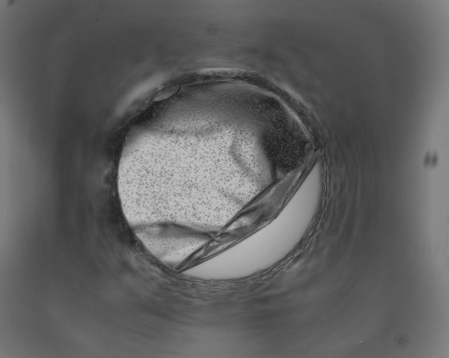 X0000090881351200708241932