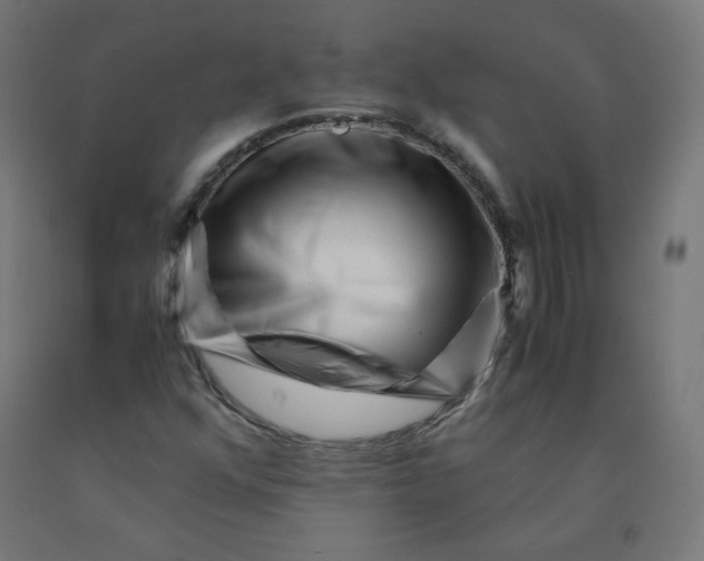 X0000090881352200708241932