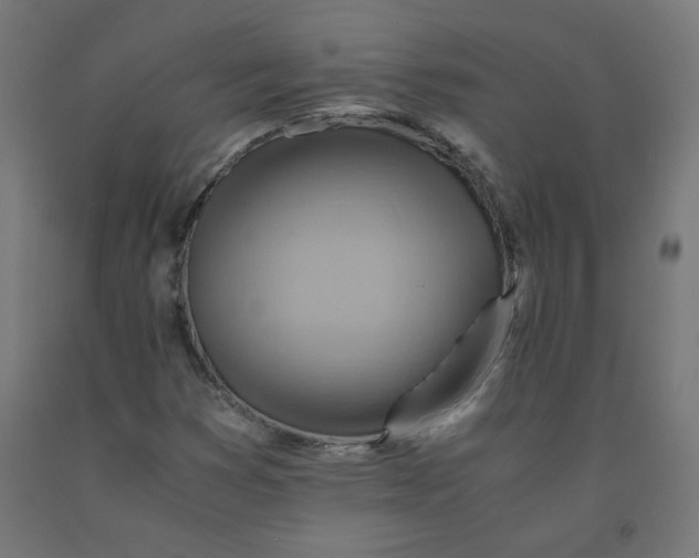 X0000090881353200708241932