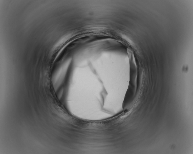 X0000090881354200708241932