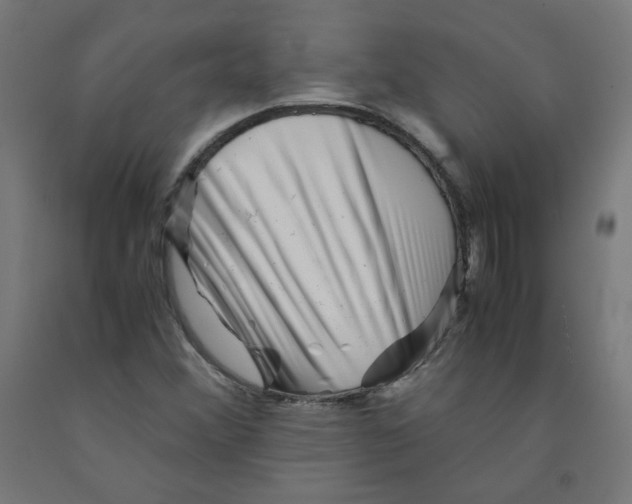 X0000090881356200708241932